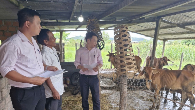 Thoát nghèo nhờ nguồn vốn chính sách