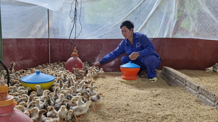  Ngân hàng giảm lãi, đồng hành với bà con vùng lũ Yên Bái 
