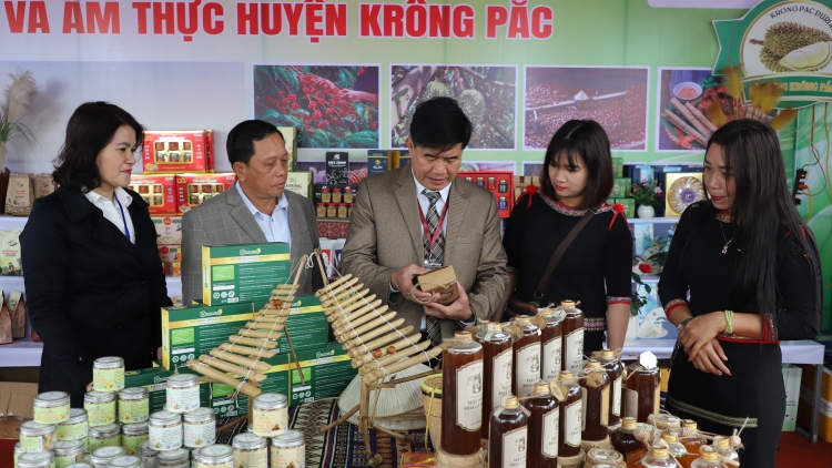 Hội trại cà phê tại đồn điền cà phê đầu tiên ở Tây Nguyên