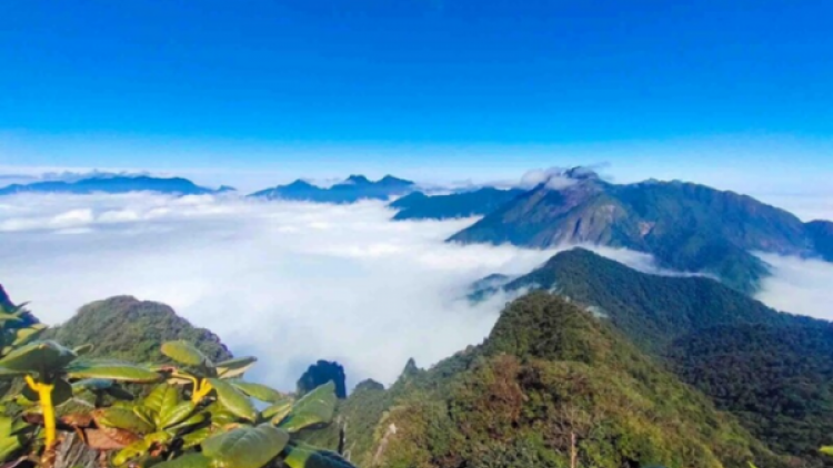 DƯƠNG CHỒM PÙ PHJA PHÀN LIÊN SAN 