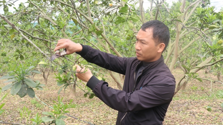 CHÀI CƯỜNG DÚ LẠNG SƠN CHAY MÁC KHAI ĐẢY TỀNH 300 TRIỆU MƯN