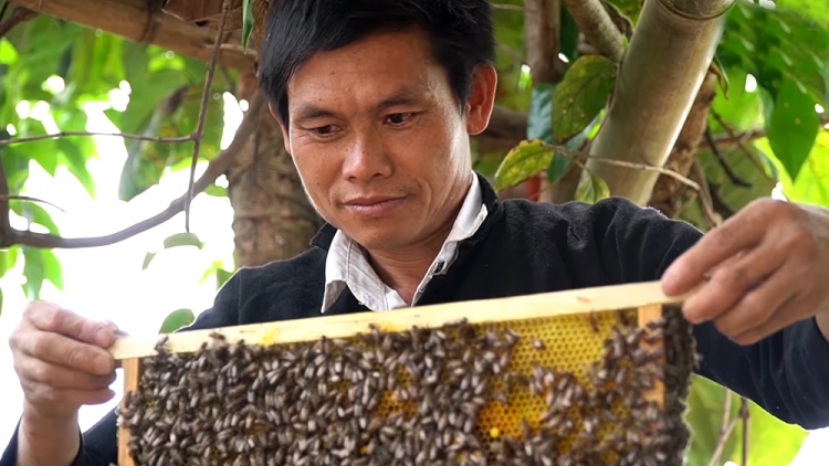 Việt Nam- ntu hlôngr yiêz thiêz huôv tsar hnuz 20-3-2025
