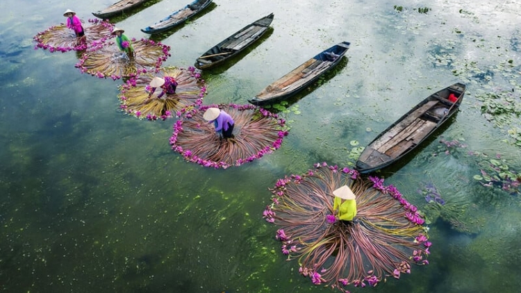LÁ TRẦU XANH (Ca vọng cổ)