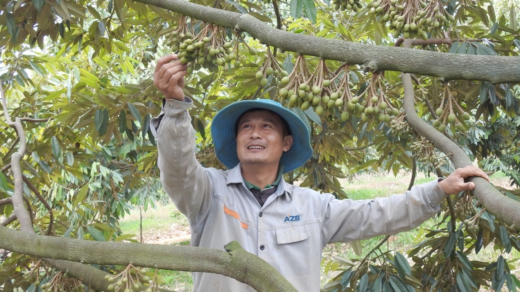 50 năm giải phóng, Kon Tum vươn lên mạnh mẽ¸ tăng trưởng nhanh nhất vùng Tây Nguyên