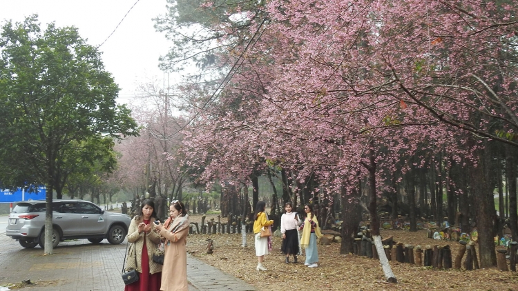 Adjoh kơtam toă tung chong