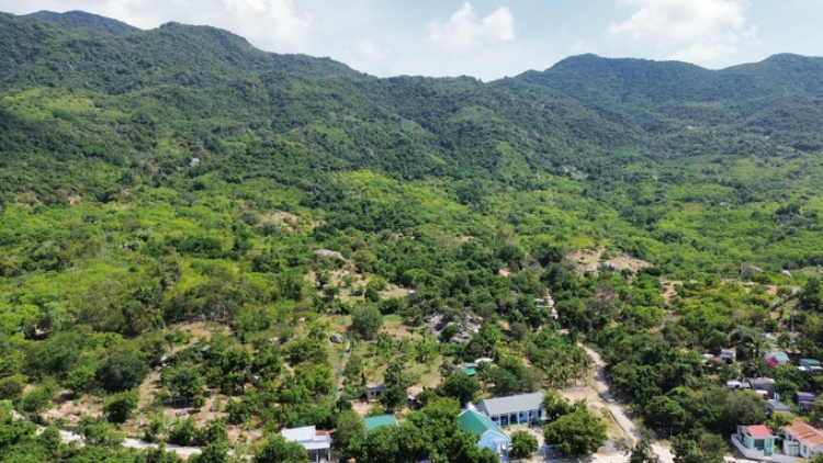 DOM BHUM TANEH “YAU PASEI” UAK DREI TAGOK KHANG