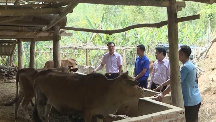 Chường trình phát thanh thứ 3 mự 15 căm bườn 4 pì 2025