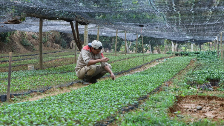 Chường trình phát thanh thứ 4 mự 16 căm bườn 4 pì 2025