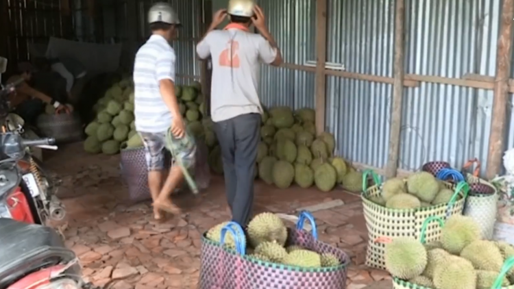 ពត៌មាន ម៉ោង​ ៦