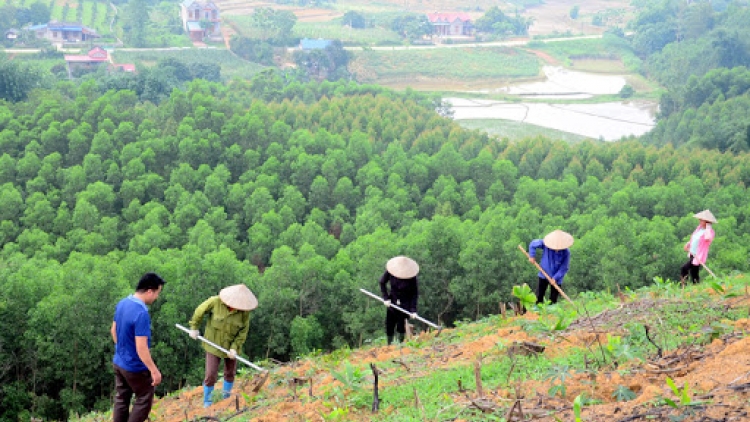 BẠI SLON PANG CHAY VẠ NGÒI CHƯỚNG CO MẠY KEO TAI TƯỢNG