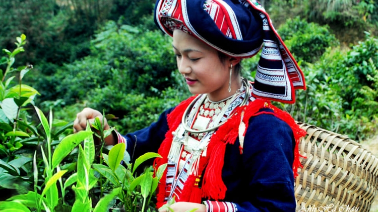 Lầy tzình páo dung chủ nhật 1.6.2025