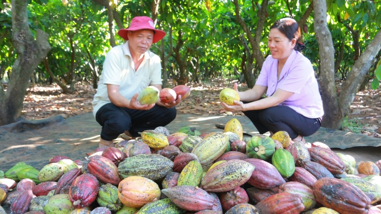 Ka kao Dăk Lăk git tŭ niam nàng bơtàu tơnguh wơl mờ bơtàu tơnguh
