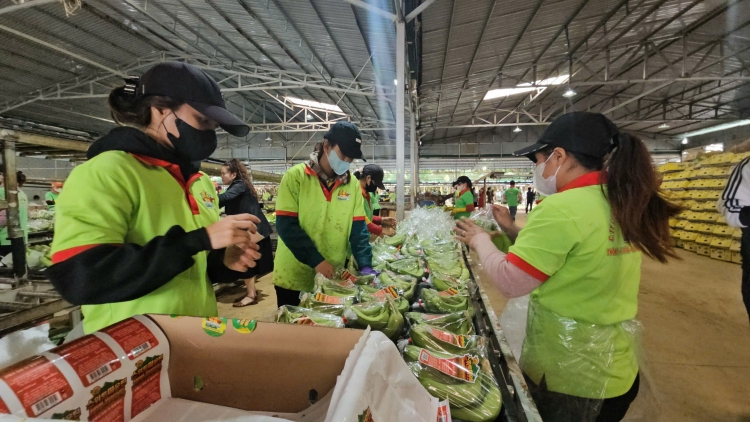 Daklak mđĭ boh tŭ bruă lŏ hma, jing hdră kjăp hĭn mđĭ kyar bruă lŏ hma pla mjing 