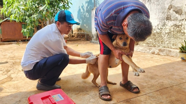 Dak Lak kơtưn pơhlôm, pơgang klin amăng hlô mơnong rông 