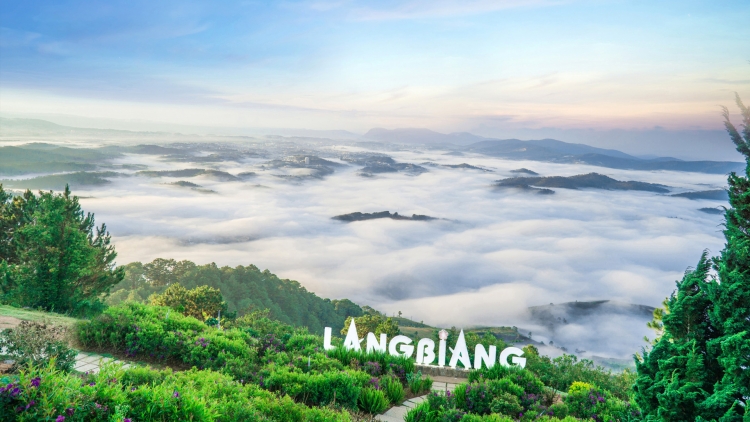 Hoa Lang Biang 
