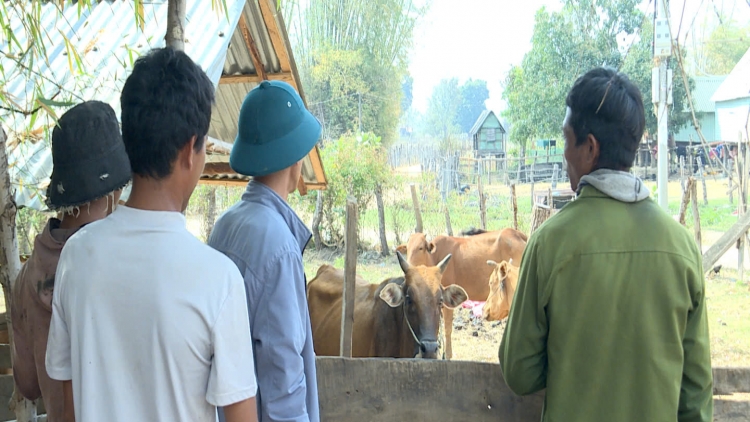 Tŭ yua bruă rông rơmô ngă hrŏm hơdôm boh sang ƀơi Gia Lai