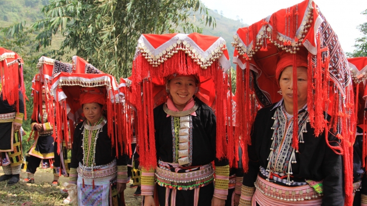 Phai paz nhây phiến