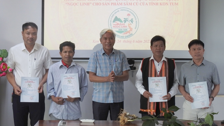 Kon Tum pă an siƀŭt mbơh gĭt ntŭk tăm “Ngọc Linh” ndơ geh ƀư sâm bum