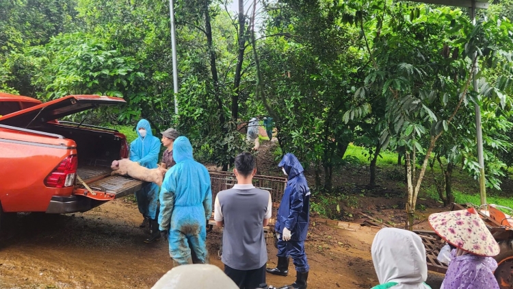 Lâm Đồng tenh kuăng tơjră hăm pơrang jĭ klak chroh nhŭng châu Phi 