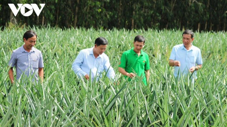 PALA PHUN MANAH DI TANEH NJOM IA LAKHUN, JALAN BAHRAU KA URANG NGAK NONG BAN RAYA CAN THO