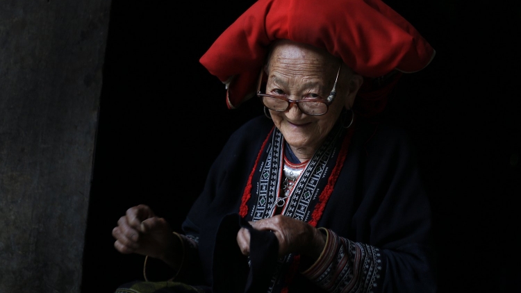 Phai paz nhây phiến