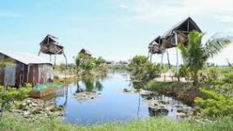 ប្រសិទ្ធភាពពីទម្រង់ចិញ្ចឹមប្រចៀវយកលាមក។