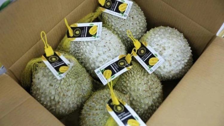 ពត៌មាន ម៉ោង ១៥