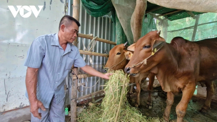 ស្មារតីឈោងឈានឡើងរបស់បងប្អូនខ្មែរដើម្បីរួចផុតភាពក្រីក្រ