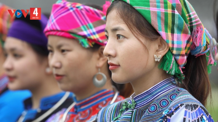 HOA CỦA NÚI