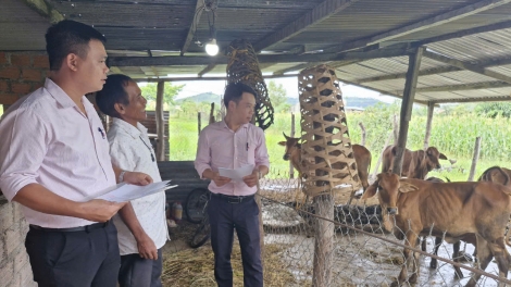 Thoát nghèo nhờ nguồn vốn chính sách