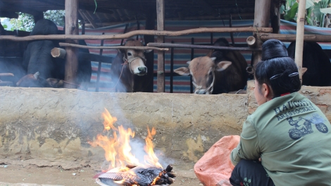 Sơn La bùng tangz chuôngz pun tào sanh