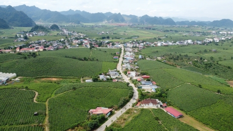nênhs gruôs, uô tâu hâux lưv jông hnuz xiêz 16/1/2025