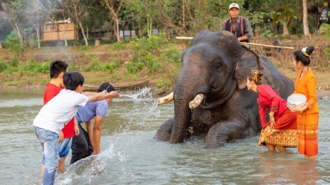Loạt tour du lịch hấp dẫn trong Lễ hội cà phê Buôn Ma Thuột lần thứ 9