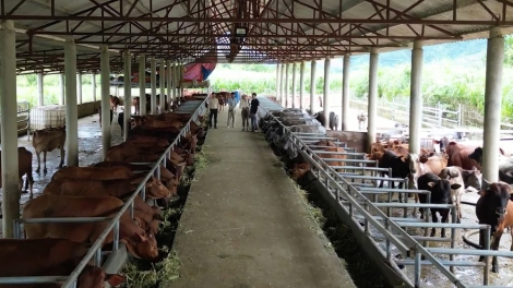 Khoa học kỹ thuật thiêz siv nênhx uô kôngz hnuz 11-02-2025