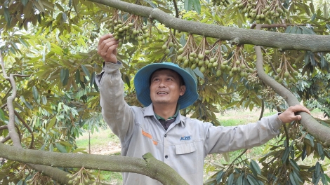 50 năm giải phóng, Kon Tum vươn lên mạnh mẽ¸ tăng trưởng nhanh nhất vùng Tây Nguyên