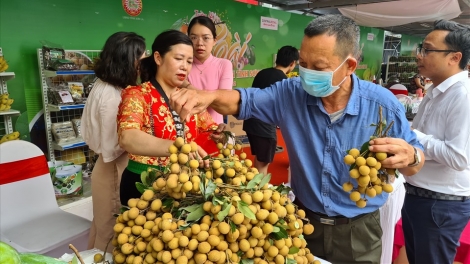 Phún tày cành tzuống xiều xềnh hang , Sơn La sanhz loz chaoz mải hnăng hái ?