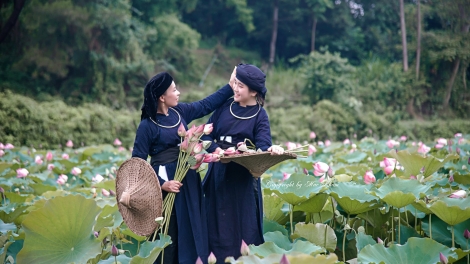 PỈ NOỌNG TỈNH ĐÀI XÁU CHƯƠNG TRÌNH (Chủ Nhật- Vằn 20/04/2025)