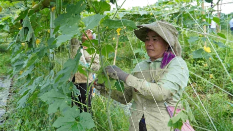 Ngon tô thứ 3 mự 15 căm bườn 4 pì 2025- Pưng tàng phắc hòm pền púk cuồng dan bườn 4 dường lịch