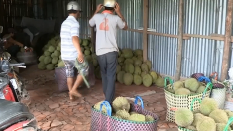 ពត៌មាន ម៉ោង​ ៦