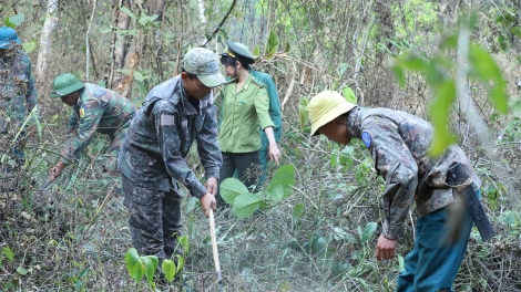 Sơn La tzấu hayz tìu chaoz xiêuz mảng kềm hít lùng chom zuaz