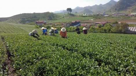 Tẩy hang Mộc Châu, Sơn La pịa canh xiêu tzà khzun