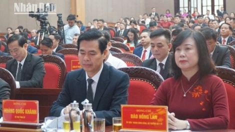 Phai paz nhây phiến