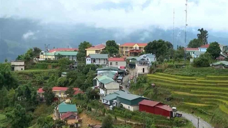 Phai paz nhây phiến