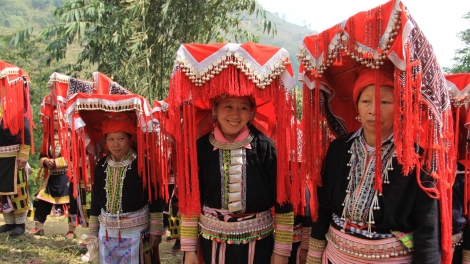Phai paz nhây phiến