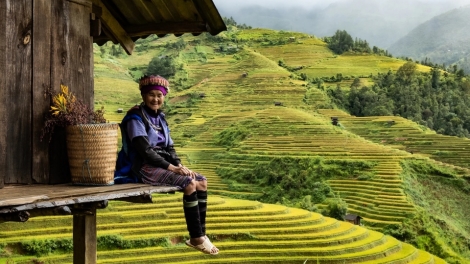 Phai paz nhây phiến
