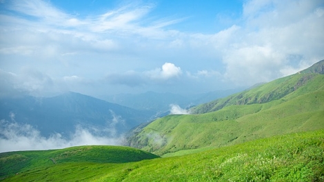 Phai paz nhây phiến