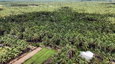 មិនលក់ដី លក់ទេសភាព លក់ការឈ្វេងយល់នៅស្រុកកំណើតរបស់ខ្លួន