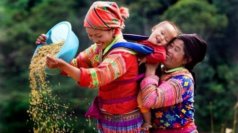 Nriêr pâuz lok cêr chei pháp luật hnuz 11-7-2025