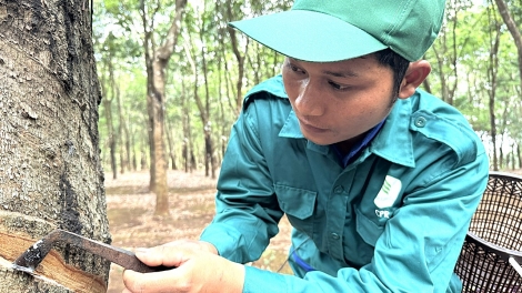 PALAK TANGIN AMEH KUAH KATAK 