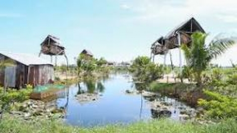 ប្រសិទ្ធភាពពីទម្រង់ចិញ្ចឹមប្រចៀវយកលាមក។